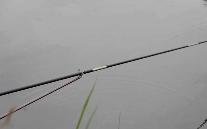 春季钓鱼朝阳还是背阳?