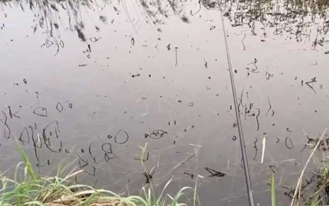 东南风钓鱼最佳钓位