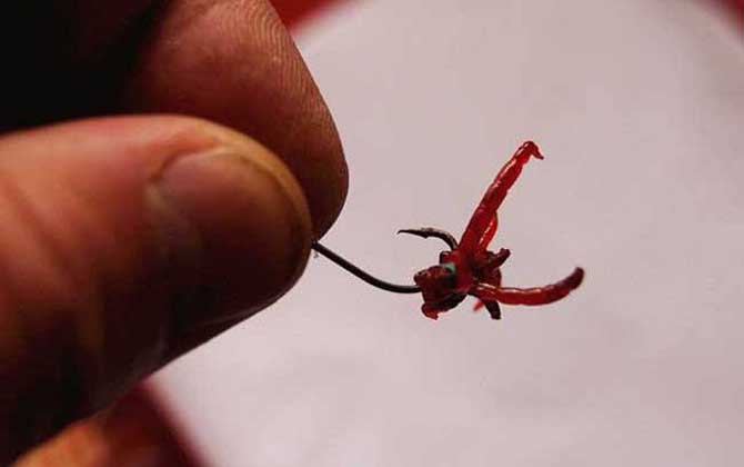 红虫钓鱼手破了有影响吗?