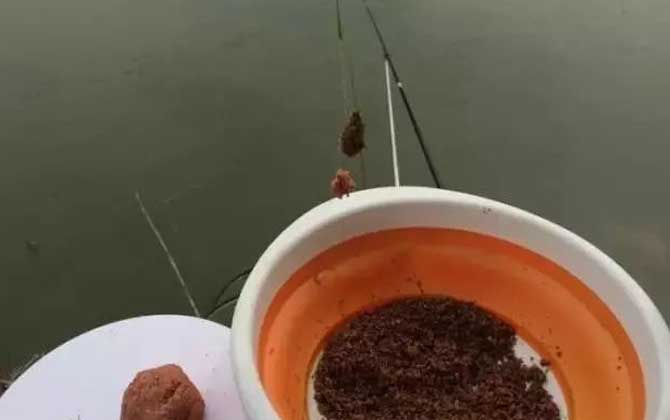 野钓用散炮好还是打窝好？