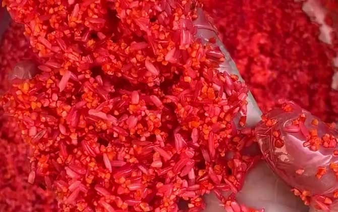 十一月钓鱼用什么窝料打窝