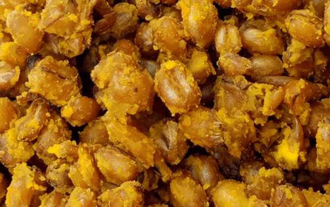 九月钓鱼用什么饵料