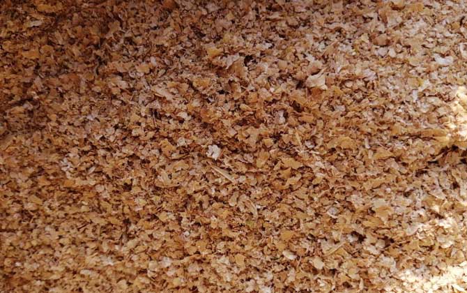 麸皮和轻麸有什么区别