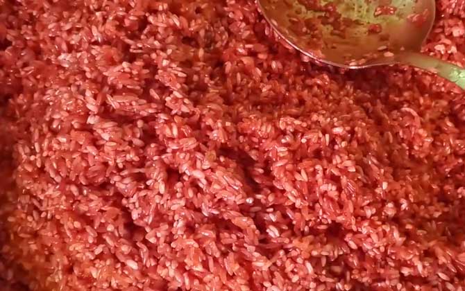 酒米打窝用什么饵料钓鱼