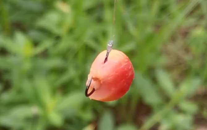 八月钓鱼用什么饵料最好