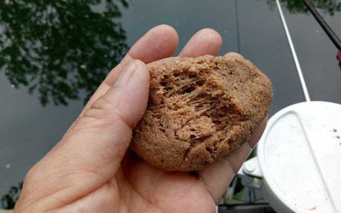 春季钓鱼用什么味型