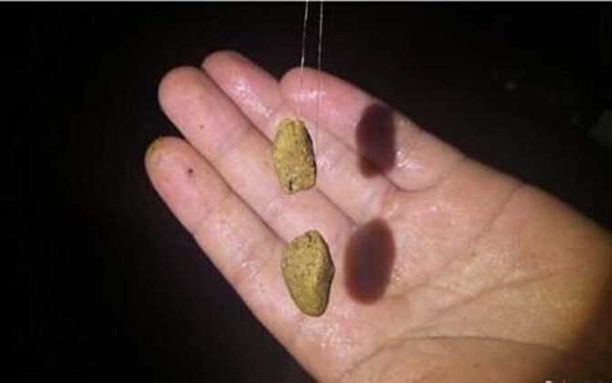 七月钓鱼用什么饵料最好