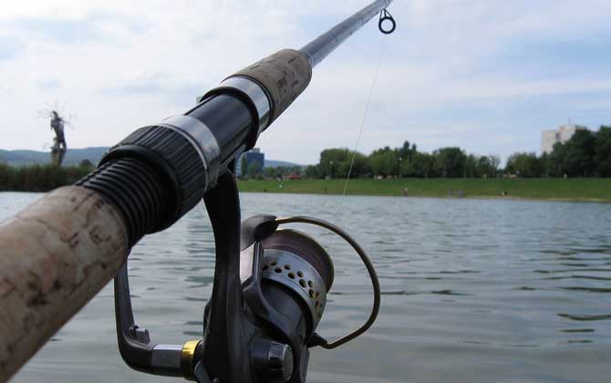 钓大鱼用什么鱼竿