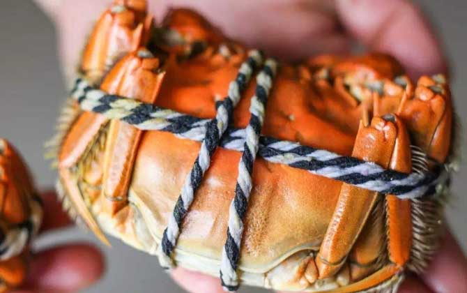 哺乳期可以吃螃蟹吗